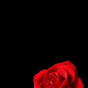 Meet your Posher, Rahma